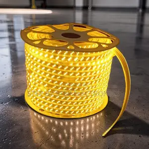 Adjustable 50M Orange Yellow Warm White SMD LED Strip Snake Light