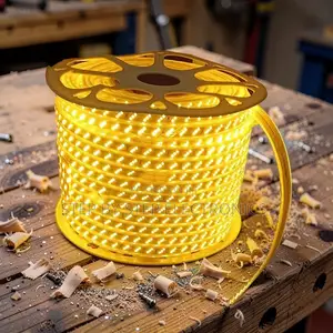 Customizable 50M Orange Yellow Warm White SMD LED Strip Snake Light
