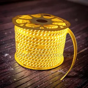 Radiant 50M Orange Yellow Warm White SMD LED Strip Snake Light