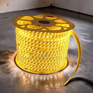 Uniform 50M Orange Yellow Warm White SMD LED Strip Snake Light
