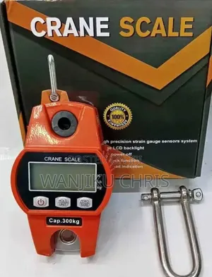 Digital Crane Scale