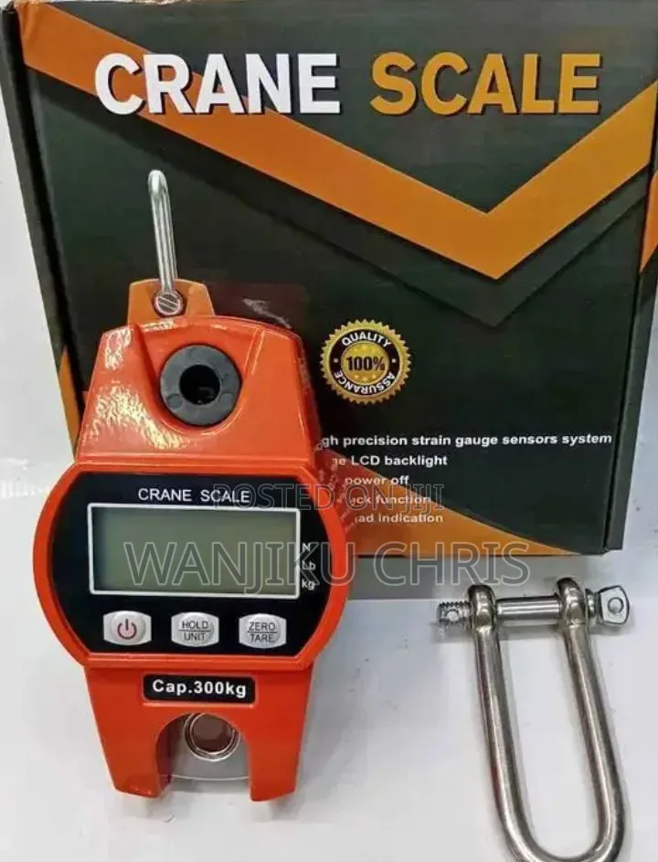 Digital Crane Scale