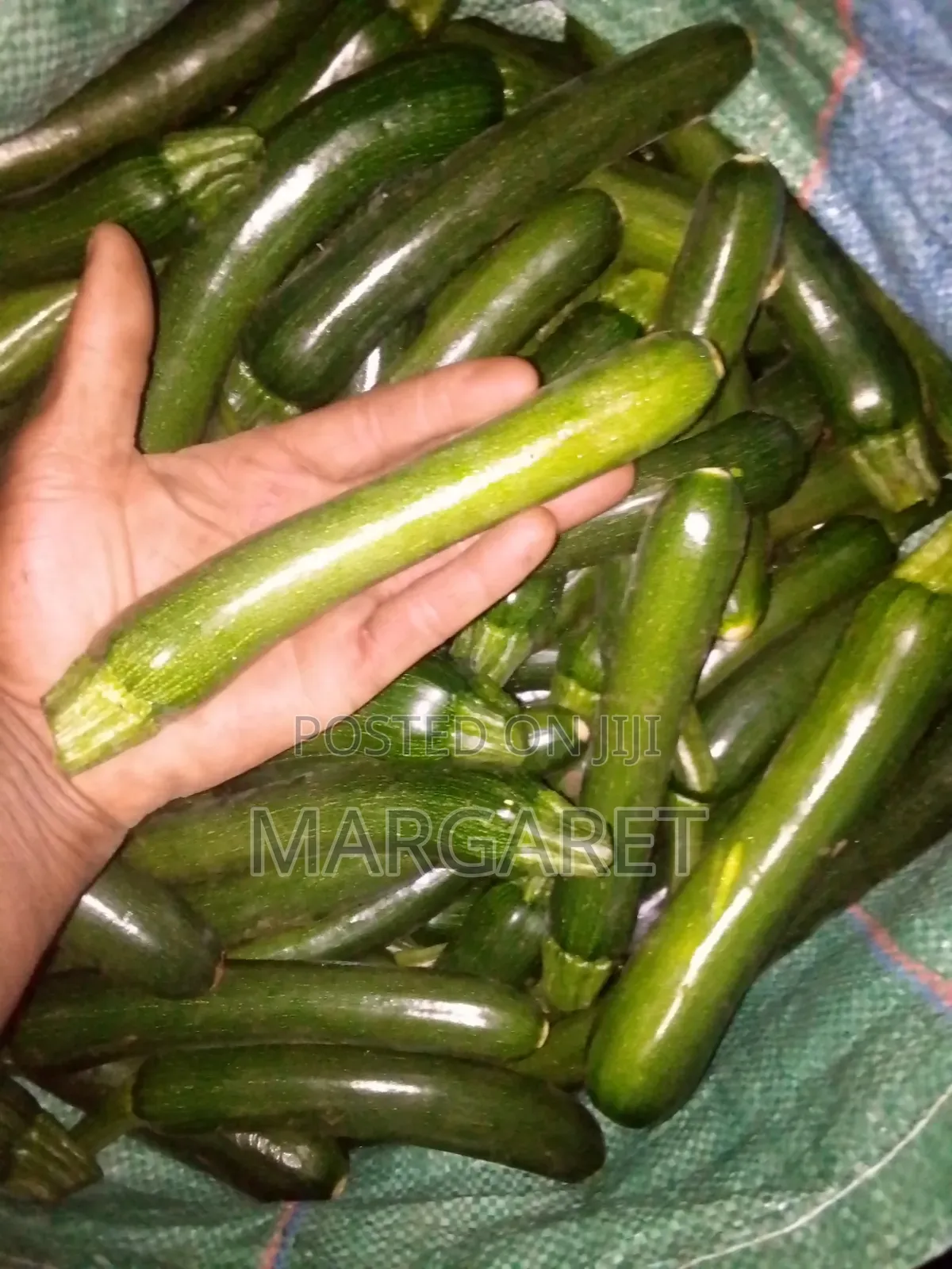 Courgette/Zucchini