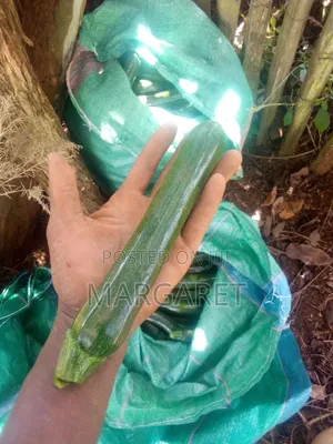 Courgette/Zucchini