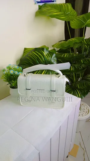 Ladies Hand Bags