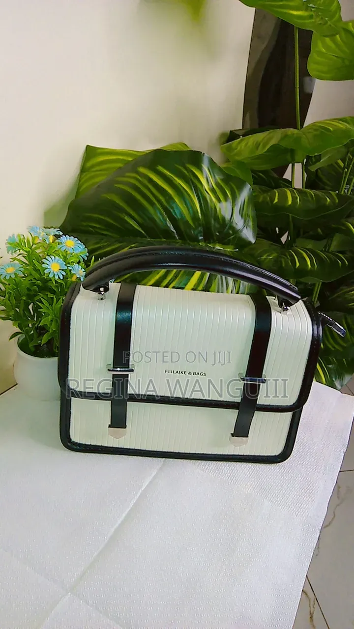 Ladies Hand Bags