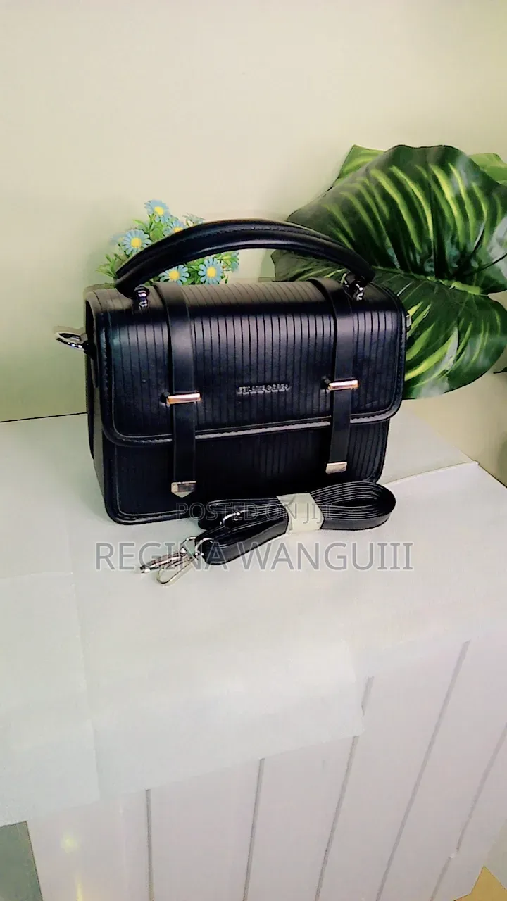Ladies Hand Bags