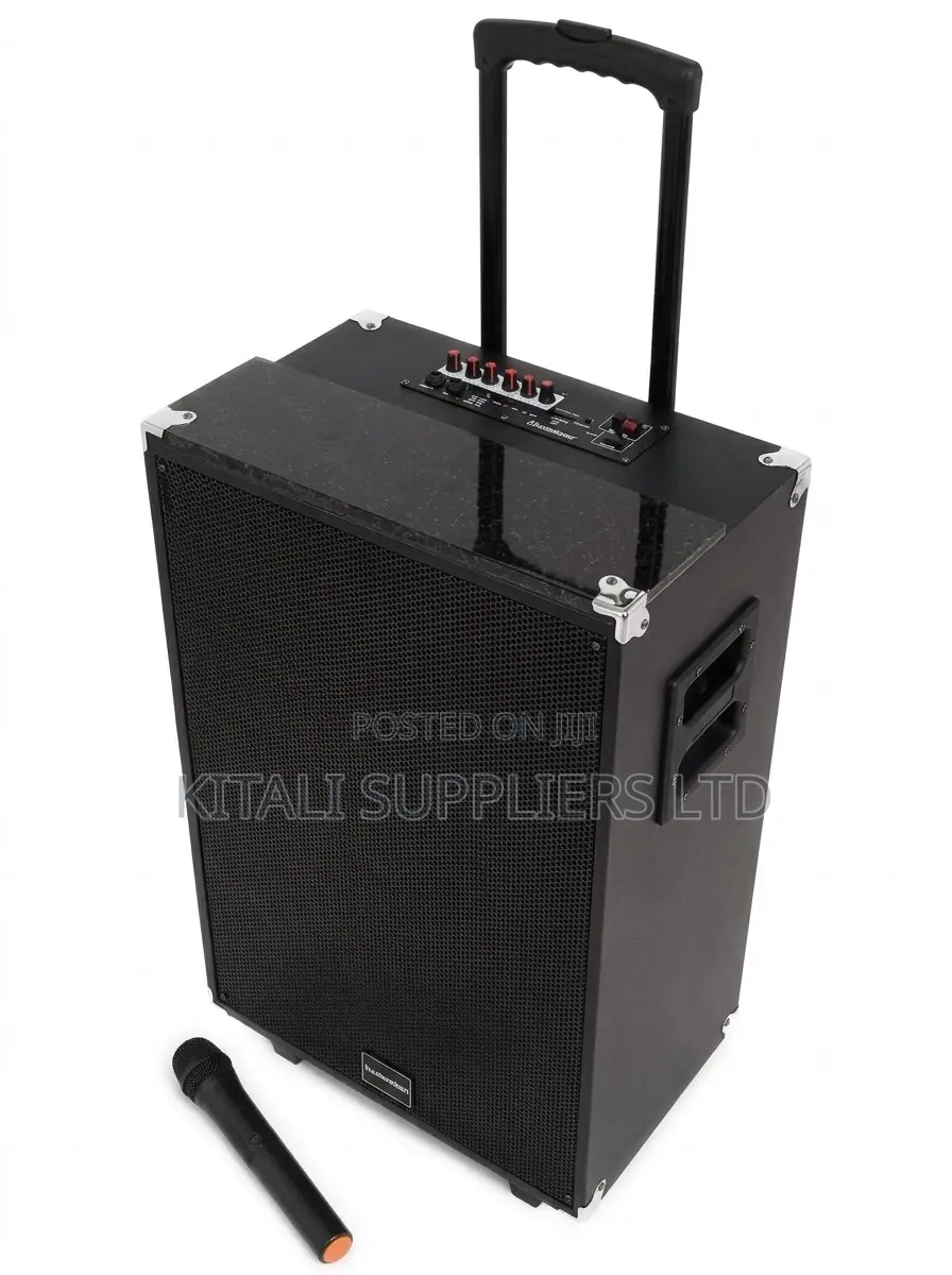Tagwood LTS-15A 15-Inch Bluetooth Trolley Speaker + Free Wireless Mic