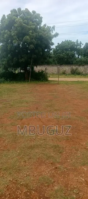 Prime 2 Acre - 2nd Row to Kikambala Beach