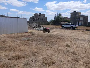 Prime Plot in Silicon Valley Kamakis