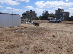 Prime Plot in Silicon Valley Kamakis