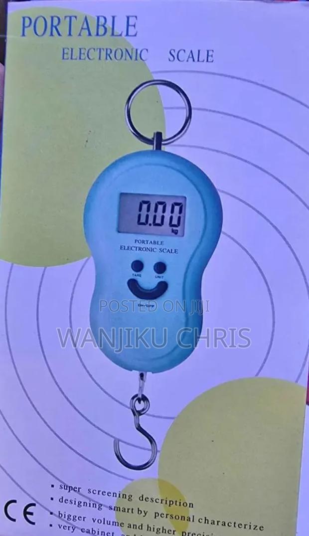 Portable Electronic Scale - main view