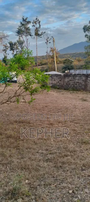 Selling a 50*100 Plot at Maguguni, Thika