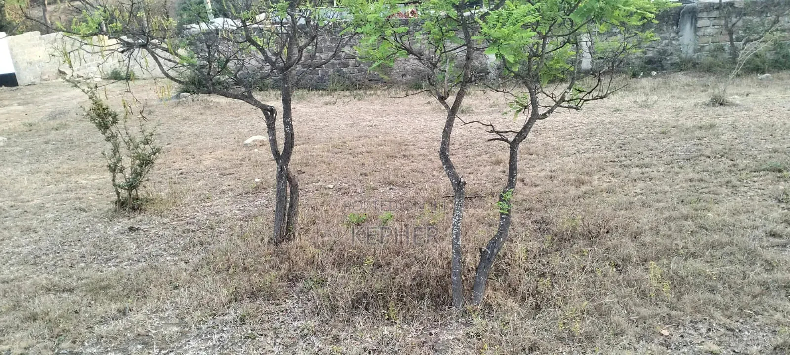 Selling a 50*100 Plot at Maguguni, Thika