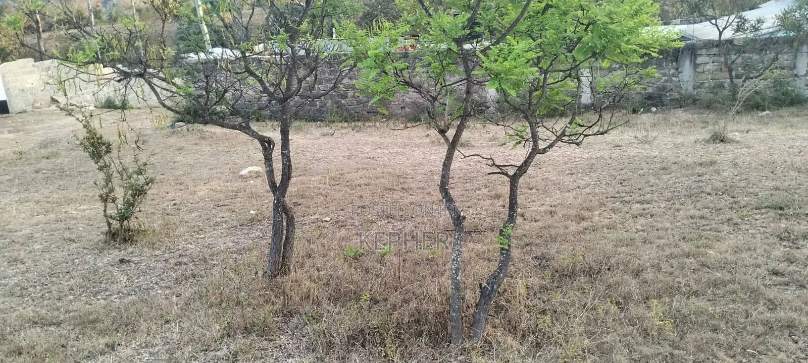 Selling a 50*100 Plot at Maguguni, Thika