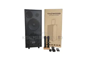 Tagwood LTS-10B Double 10" Rechargeable Speaker + 2 Wireless Mics