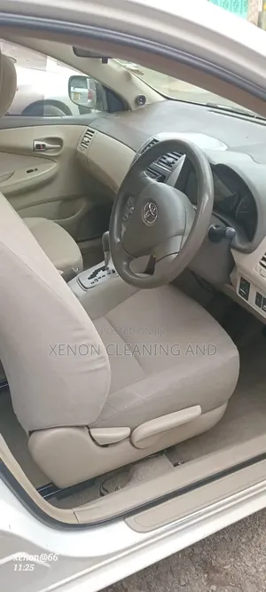 General Cleaning and Fumigation