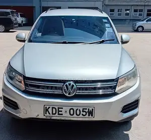 Volkswagen Tiguan 2015 Silver