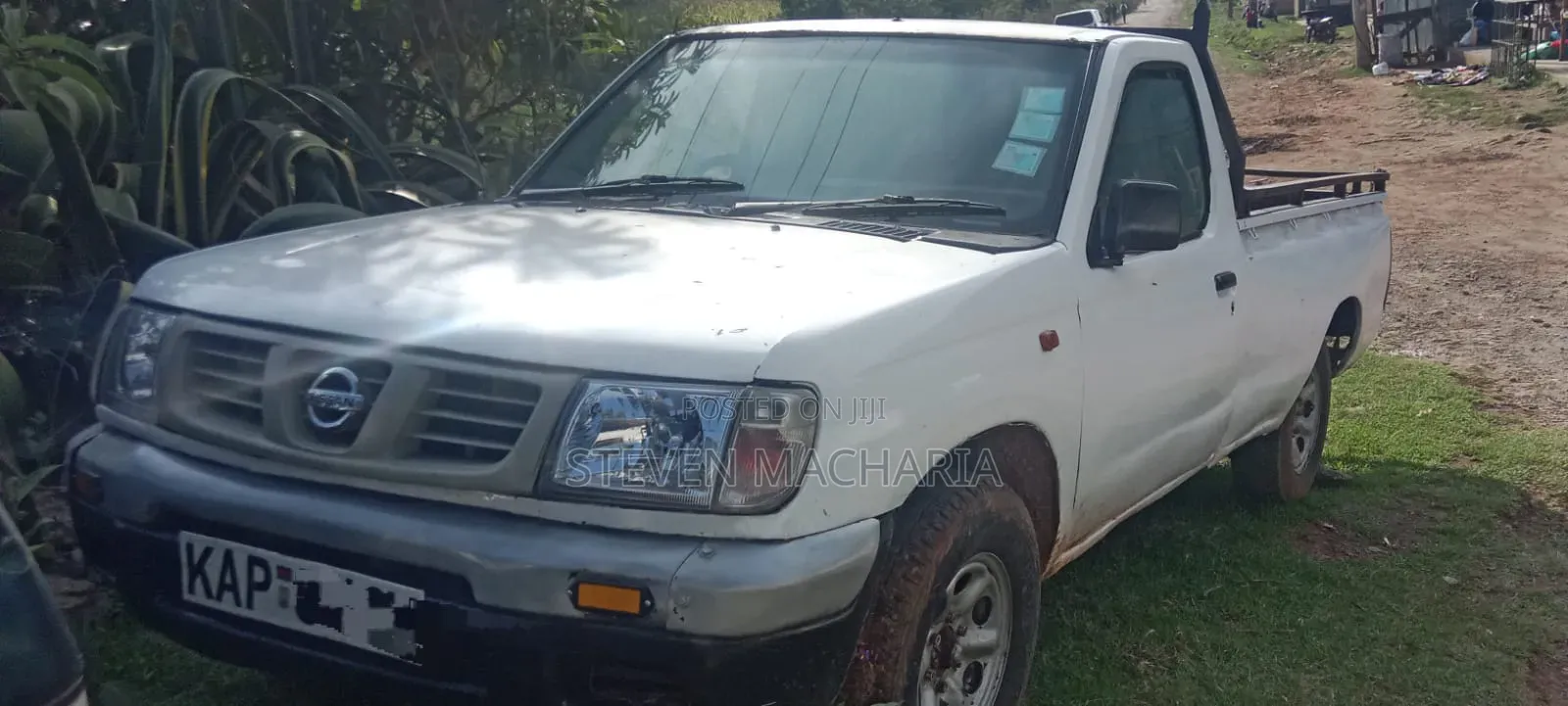 Nissan Hardbody 2005 White