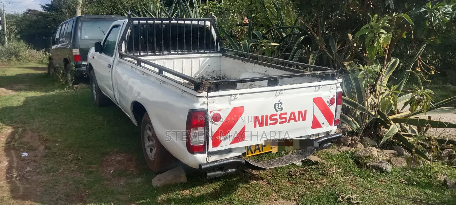 Nissan Hardbody 2005 White