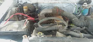 Nissan Hardbody 2005 White