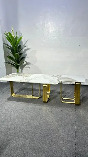 Imported Modern Coffee Table