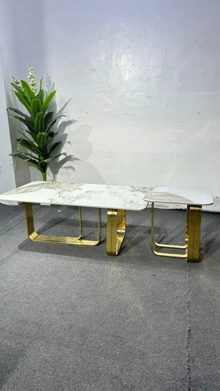 Imported Modern Coffee Table