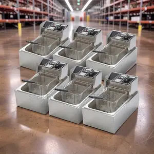 Factory Prices Easy Clean 4l/6l/10l Electric Single Tank Deep Fryers