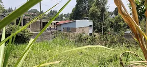100×100 Residential Plot for Sale – Kikuyu Muguga Thamanda