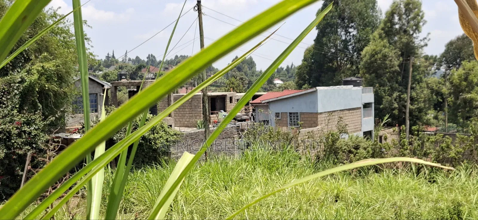 100×100 Residential Plot for Sale – Kikuyu Muguga Thamanda