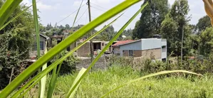 100×100 Residential Plot for Sale – Kikuyu Muguga Thamanda