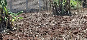 100×100 Residential Plot for Sale – Kikuyu Muguga Thamanda