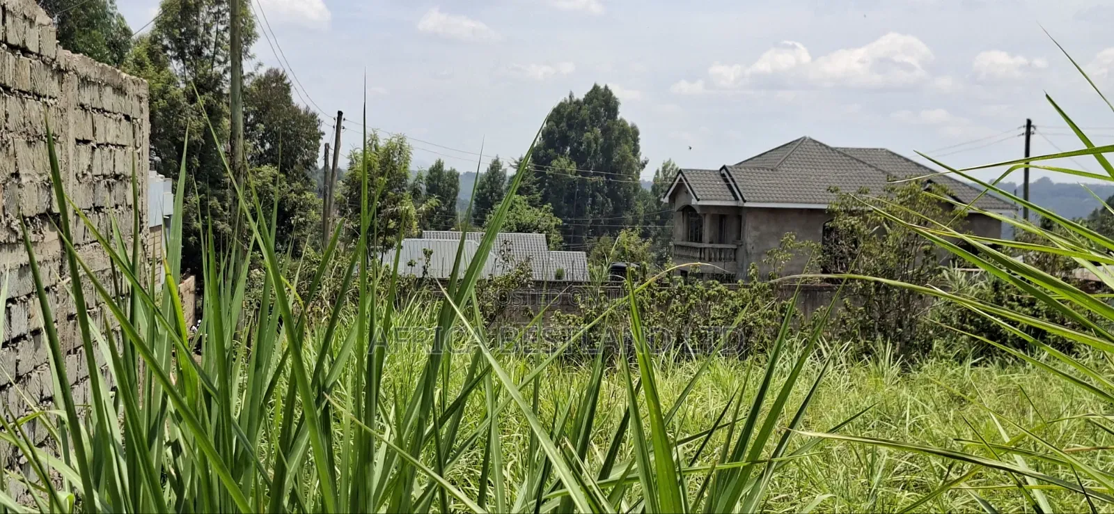 100×100 Residential Plot for Sale – Kikuyu Muguga Thamanda