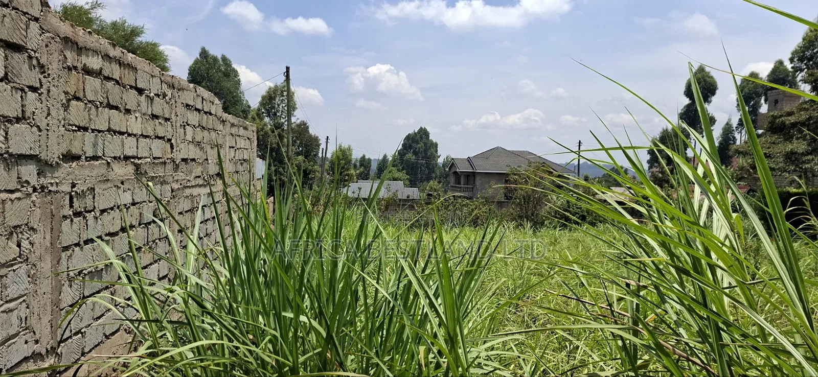 100×100 Residential Plot for Sale – Kikuyu Muguga Thamanda