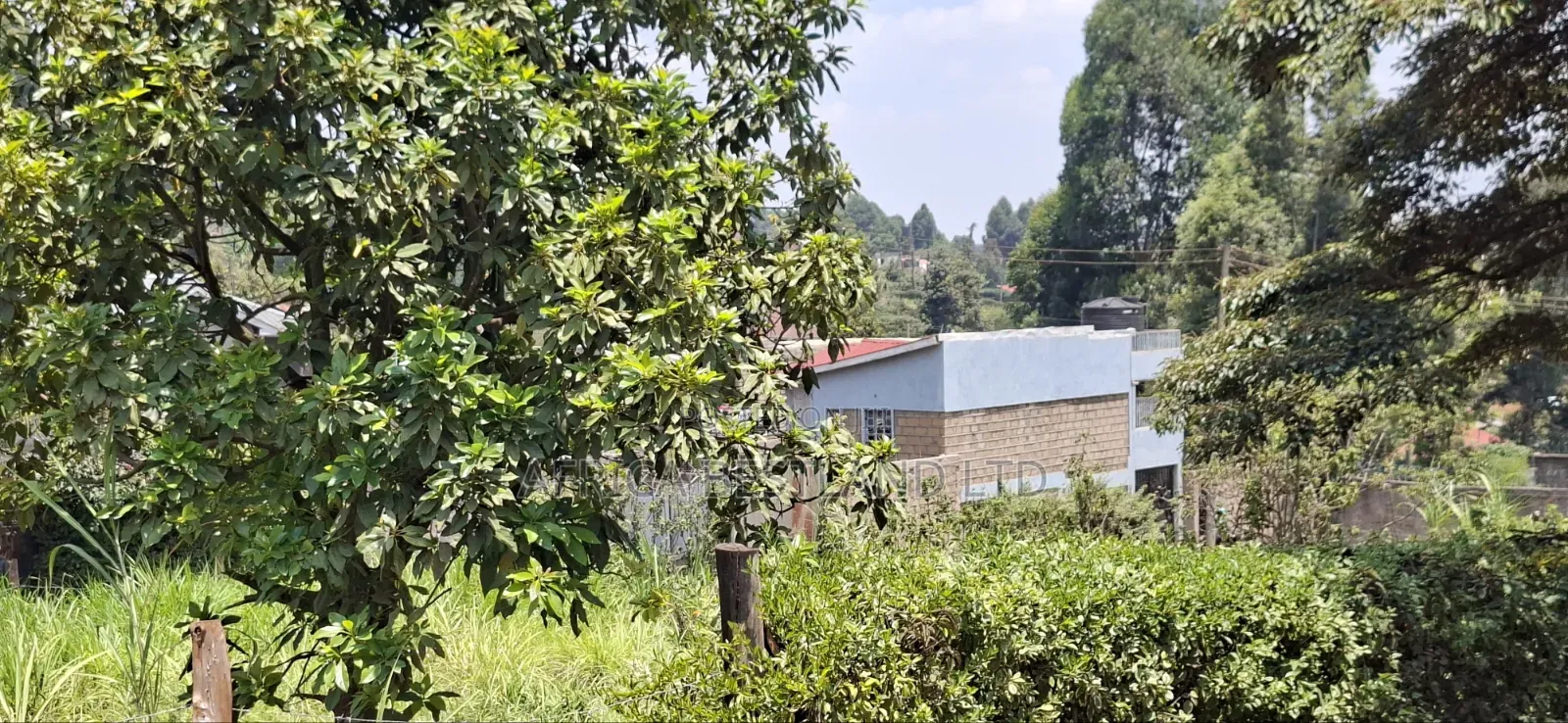 100×100 Residential Plot for Sale – Kikuyu Muguga Thamanda
