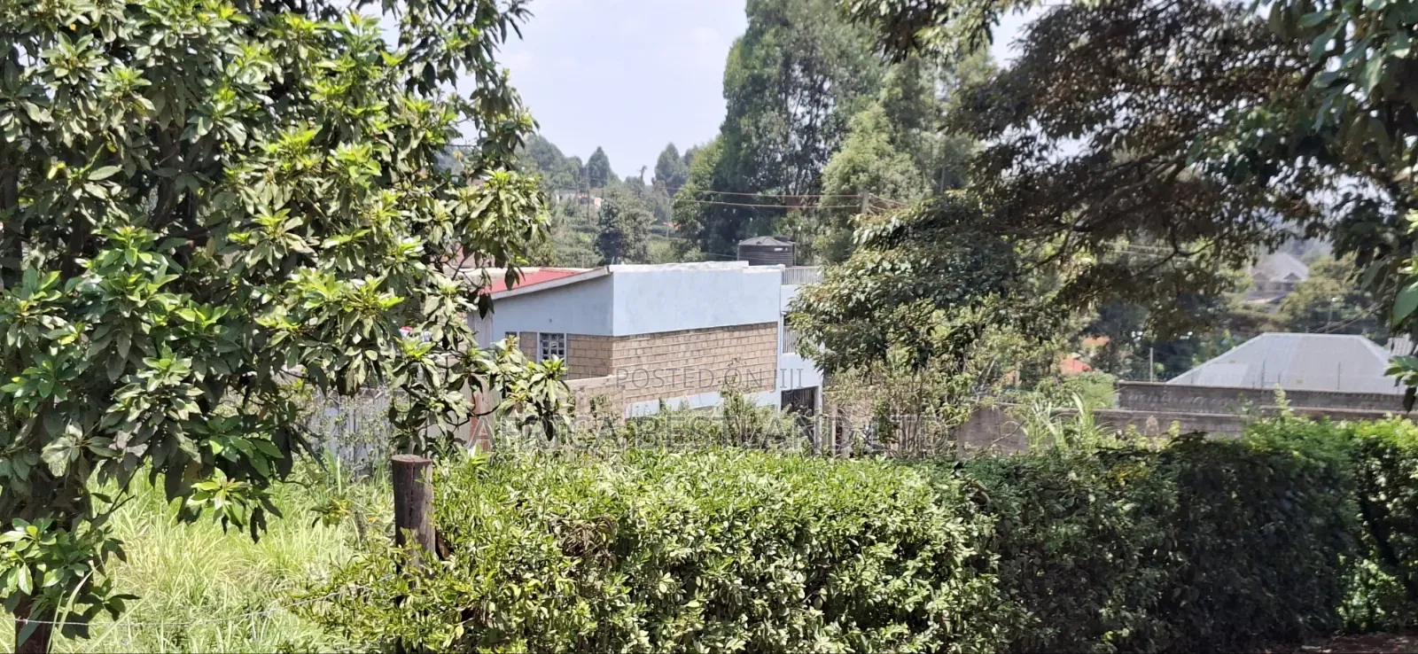 100×100 Residential Plot for Sale – Kikuyu Muguga Thamanda