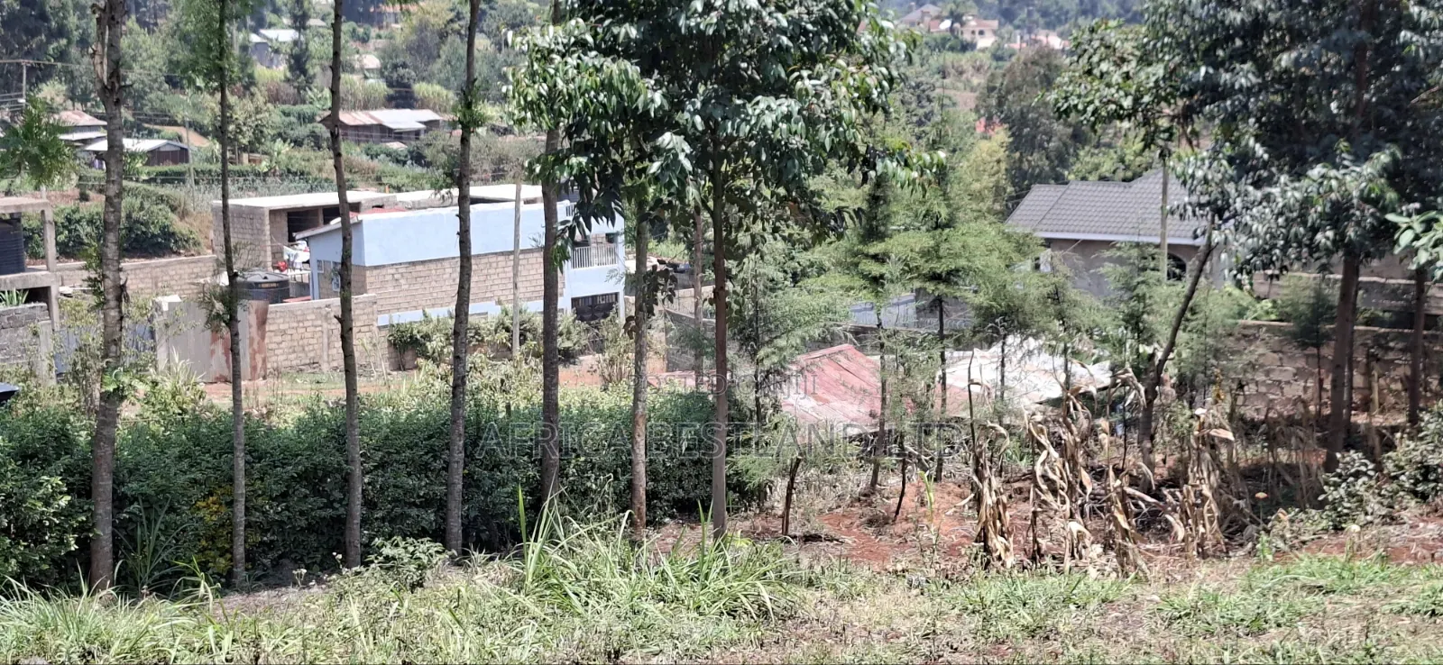 100×100 Residential Plot for Sale – Kikuyu Muguga Thamanda