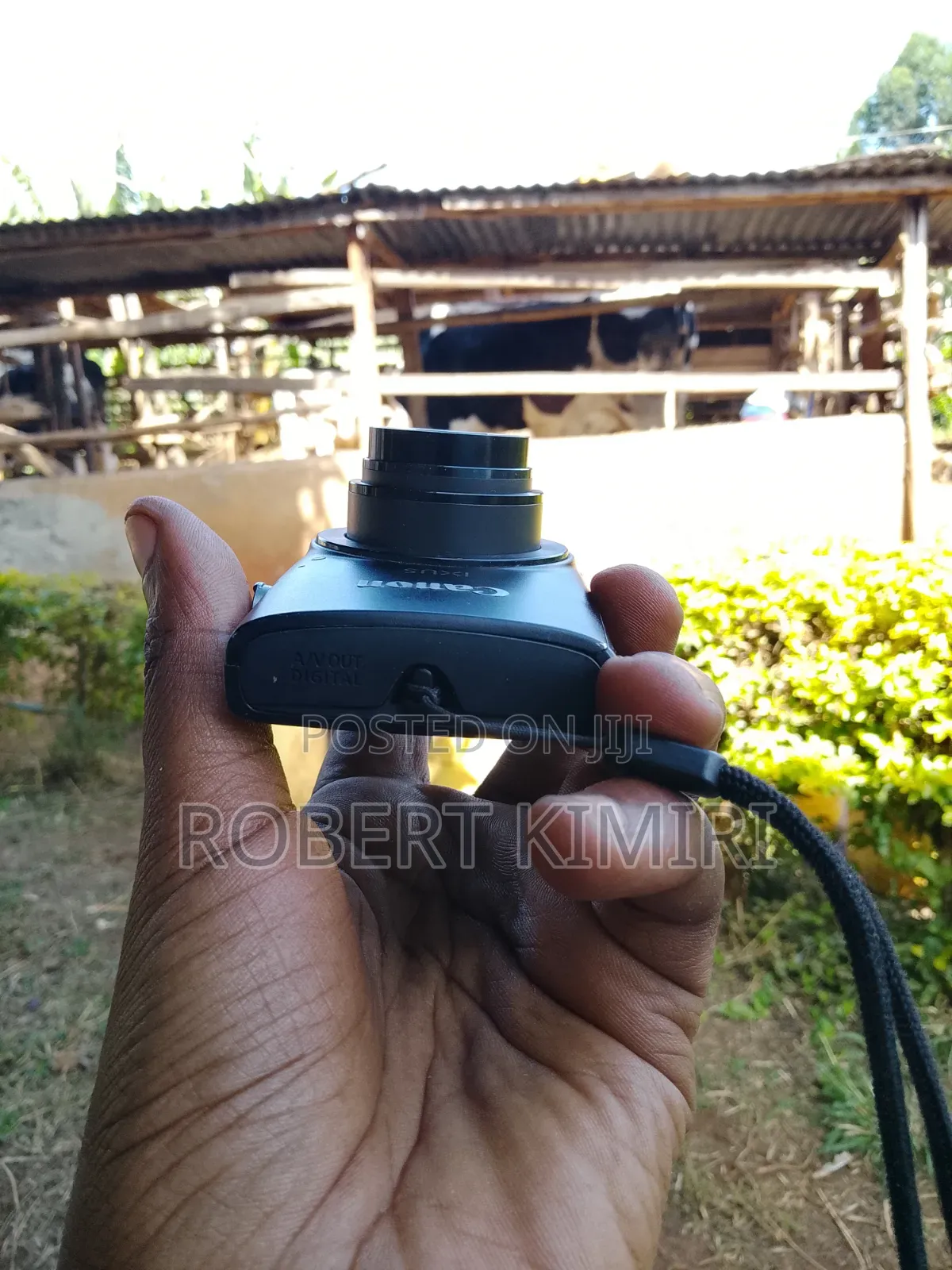 Canon IXUS 12× Optical Zoom