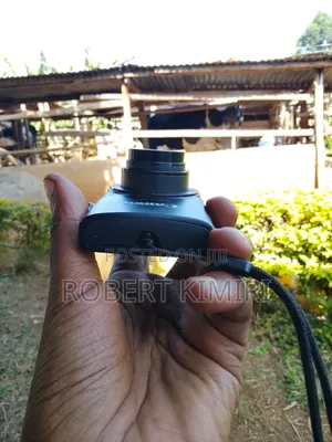 Canon IXUS 12× Optical Zoom