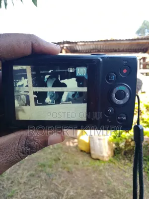 Canon IXUS 12× Optical Zoom