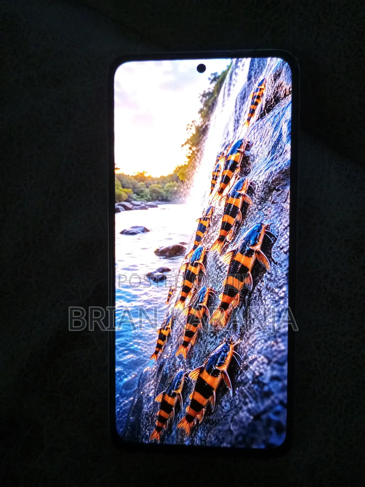 Xiaomi 14 256 GB Blue