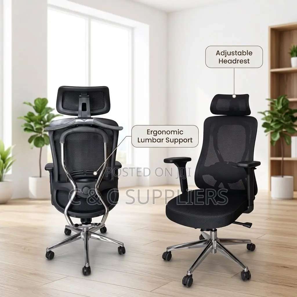 Executive Orthopedic Lumber Support Chair.