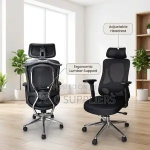 Executive Orthopedic Lumber Support Chair.