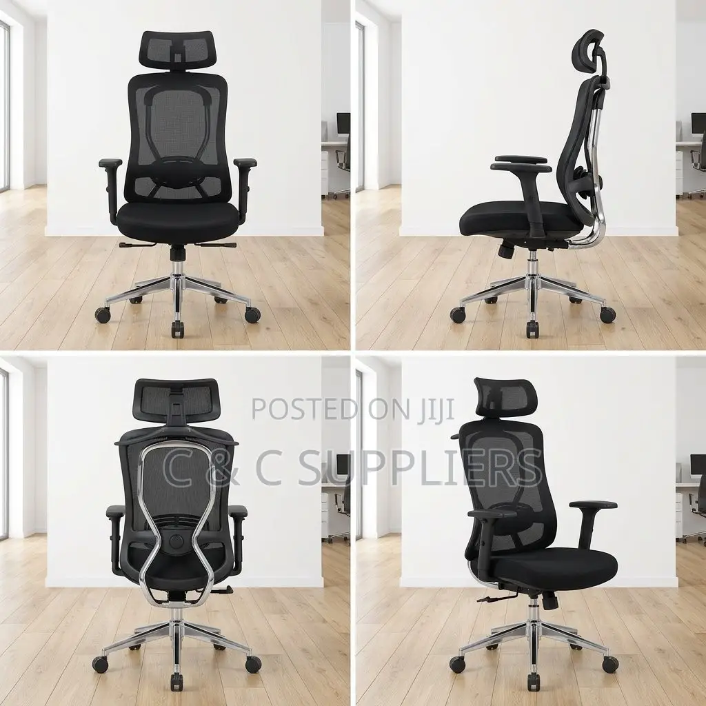 Executive Orthopedic Lumber Support Chair.