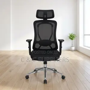 Executive Orthopedic Lumber Support Chair.