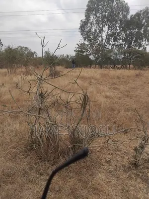 Juja Farm Land for Sale
