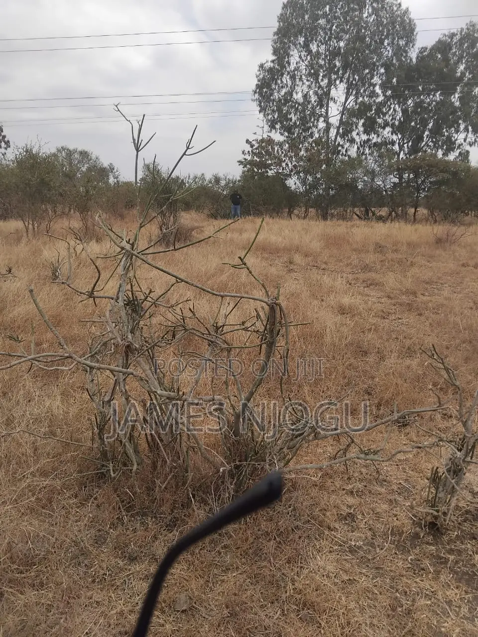 Juja Farm Land for Sale