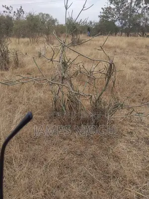 Juja Farm Land for Sale