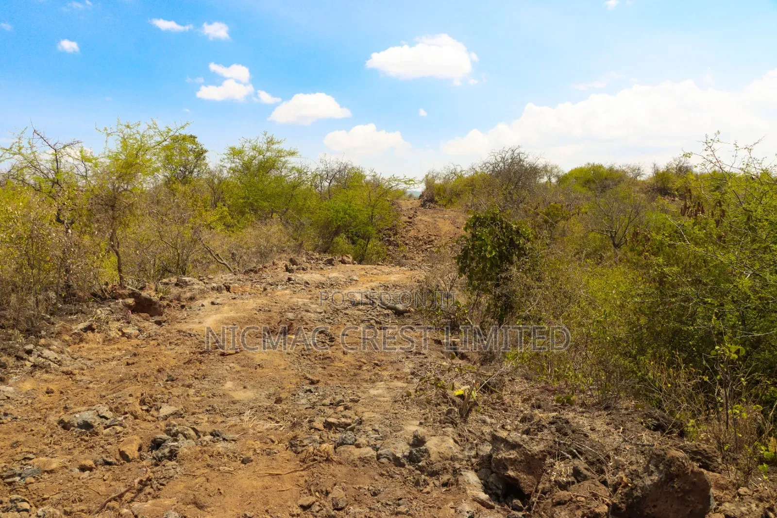 Quarter Plots for Sale in Ewauso Kedong