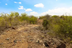 Quarter Plots for Sale in Ewauso Kedong